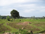 14602IMG_4973.JPG