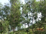 53762CIMG7162.JPG
