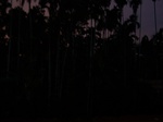 544110052008(62).JPG