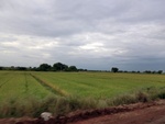 56069CIMG6758.JPG