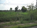 33681IMG_5890.JPG