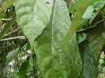 48439CIMG4776.JPG