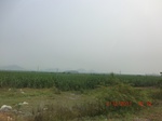 32950CIMG2096.JPG