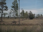 28141IMG_4964.JPG