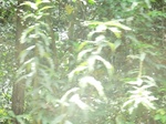 48815CIMG5152.JPG