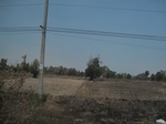 28131IMG_4950.JPG