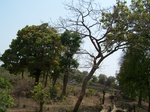 1679601052008(11).JPG