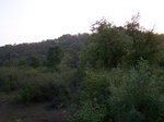 498819042008(88).JPG