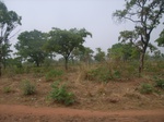 3992RIMG0296.JPG