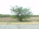 35966DSC02737.JPG
