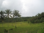 15469IMG_4538.JPG