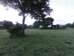 24868DSC01082.JPG