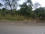8995RIMG0071.JPG