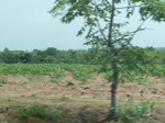 51524P1000686.JPG