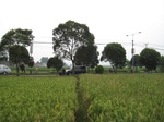 15003IMG_3813.JPG