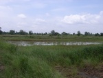 33465RIMG0205.JPG