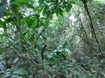 45194CIMG2279.JPG
