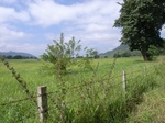 21415RIMG0035.JPG