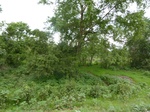18397P1000233.JPG