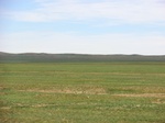 37934CIMG1741.JPG