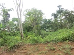 47688CIMG4025.JPG
