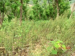 53608CIMG6973.JPG