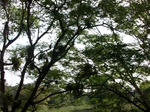 5625100_1053.JPG