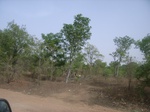 3784RIMG0088.JPG