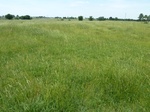 54028HASK20120517GPS.JPG