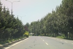 2024-08-05_14-12-05_490F21A1-CD8A-4830-AD56-16EB1BF897F2.jpeg