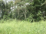 49352CIMG5689.JPG