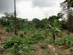 45492CIMG2577.JPG