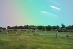2024-06-17_21-12-28_8B0E1FF5-FBB1-467D-AC1F-8A82E8CEDCAF.jpeg