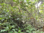 46691DSC02025.JPG