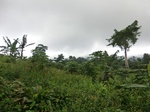 45573CIMG2658.JPG