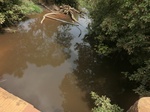 51154CIMG5535.JPG