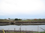 14486IMG_4845.JPG