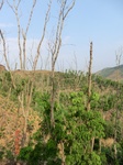 53485CIMG6822.JPG