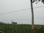 32676CIMG1805.JPG