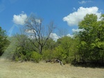 35480DSC02995.JPG