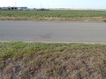 39188CHER20110818S.JPG