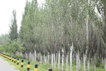 2024-08-05_16-28-20_4B8BECA1-DC84-41EE-8D78-9ECFD44BCC6B.jpeg