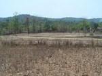 503520042008(71).JPG