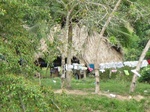 32106IMG_5577.JPG