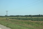 2024-06-17_21-39-28_8ABC8905-A25D-4908-BC13-28EABC3EF61C.jpeg