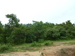 18617P1000454.JPG