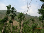 53749CIMG7149.JPG