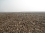 8415IMG_0240.JPG
