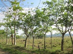 31968IMG_5616.JPG