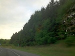 57783IMG_1070.JPG